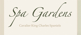 Spa Gardens
